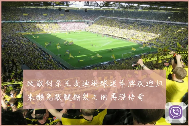 致敬耐杀王麦迪逊球迷举牌欢迎归来獭兔跟腱撕裂之地再现传奇