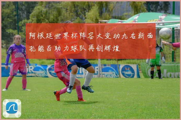 阿根廷世界杯阵容大变动九名新面孔能否助力球队再创辉煌